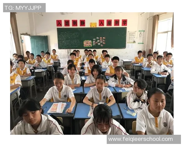 史鸿飞的成长之路与职业生涯探索：从平凡到卓越的奋斗故事